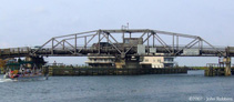 ChincoteagueBr.jpg